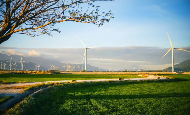 canh-dong-dien-gio-dam-nai