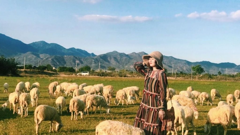 Những khoảnh khắc tuyệt vời tại đồng cừu An Hòa Khánh Hòa