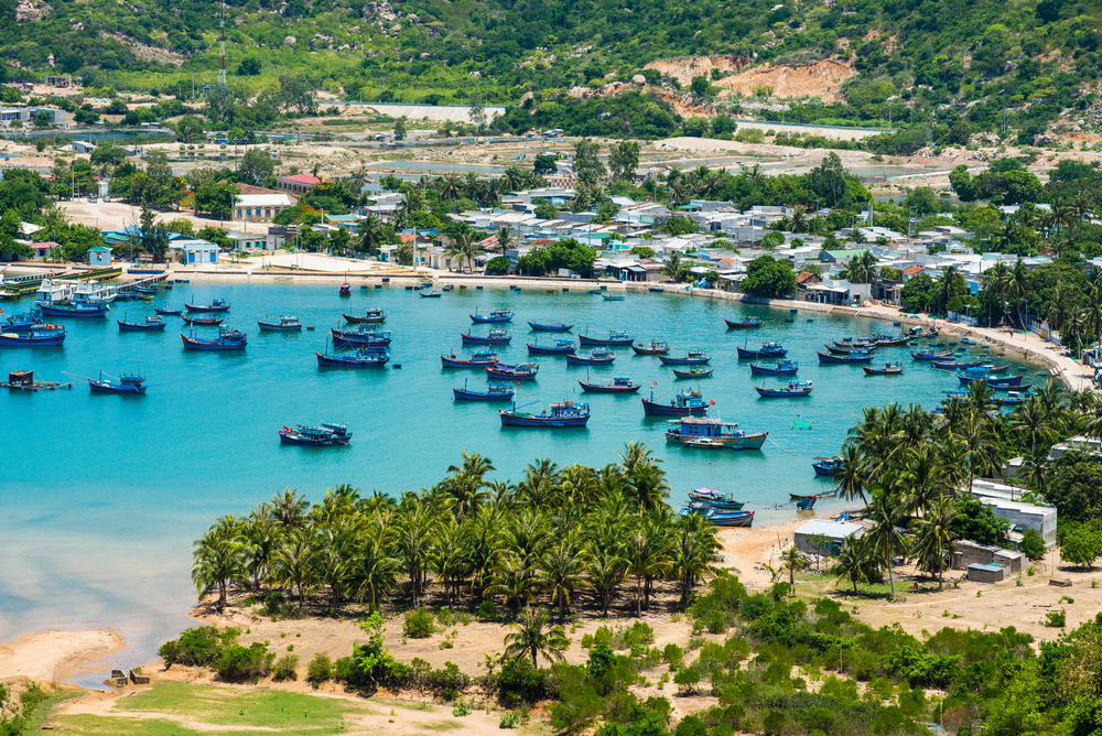 Khám phá Vịnh Vĩnh Hy 2025: Tất tần tật kinh nghiệm